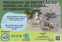 Programa de Prote��o Borrelho-de-coleira
